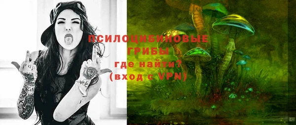 альфа пвп Армянск
